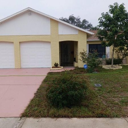 Home Away From Home With Heated Pool New Port Richey Zewnętrze zdjęcie